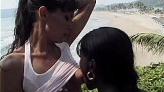 White and Black Lesbians - porn video