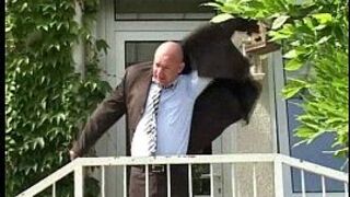 panic at the clinic - porn video